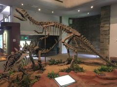 -自贡恐龙博物馆