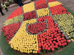 -南通洲际绿博园