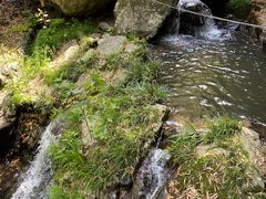 -藏龙百瀑风景区