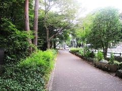 -三鹰之森吉卜力美术馆