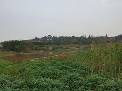 -广东花都湖国家湿地公园