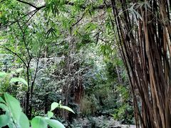 -成都市活水公园