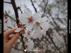 -杭州师范大学(下沙校区)