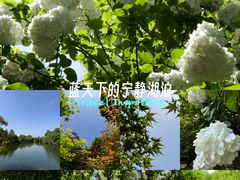 -桃花岛景观公园
