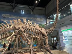 -自贡恐龙博物馆