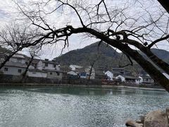 -鹿亭中村