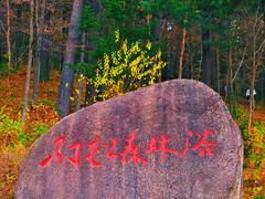 -五营红松林海景区