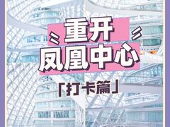 -凤凰中心
