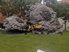 -活水公园