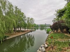 -大兴滨河森林公园