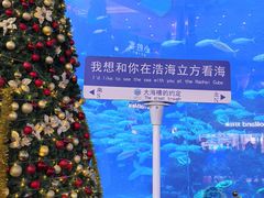 -成都浩海立方海洋公园