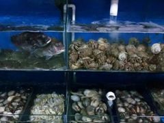 -老船长海鲜坊