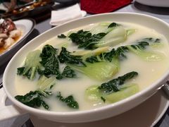 白菜仔-东富酒家(龙湖西溪天街店)