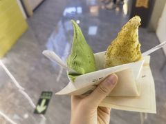 -野人先生现做冰淇淋(西安赛格店)
