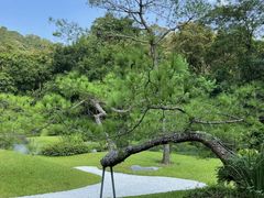 -云溪植物园