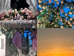 -Blue Concept Cafe&Farm·關於藍