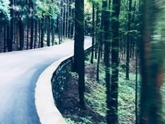 -山王坪喀斯特国家生态公园