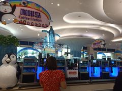 -帝企鹅自助餐厅•儿童岛•真企鹅(长隆企鹅酒店)