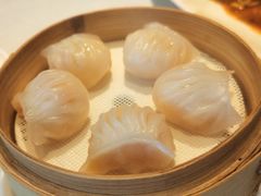 -金悦轩海鲜城(渔人码头店)