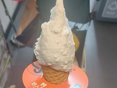-野人先生现做冰淇淋(北京顺义祥云小镇店)