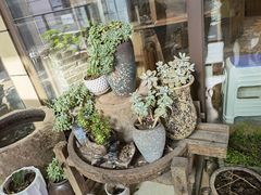 -阿嫂印象·民间江湖菜(大学城店)