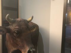 -伊犇牛清真牛肉火锅(宽窄巷子店)