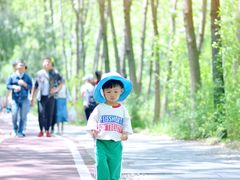 -合肥滨湖国家森林公园