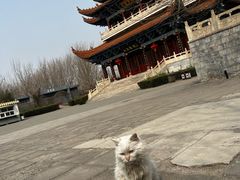 -大悲禅寺