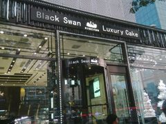 android_upload_pic-BLACKSWAN黑天鹅(环球店)