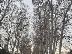 -灵谷景区