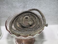 -广东中医药博物馆