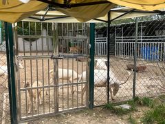 -野鸭湖国家湿地公园