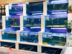 -丝路东方虾仁水饺(北京路二宫汇嘉店)