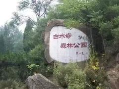 -白水寺森林公园