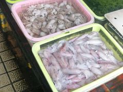 -南沙十九涌渔人码头-南门