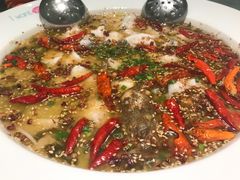 -姚姚酸菜鱼·金戈戈香港豉油鸡(喜荟城联名店)