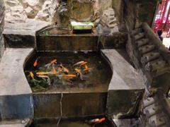 -佳兰雅序融合菜(高新店)