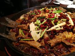 -老板恋上鱼(高新万达店)