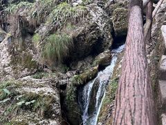 -青城山