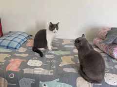 -康乐宝动物医院