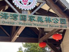 -上海海湾国家森林公园