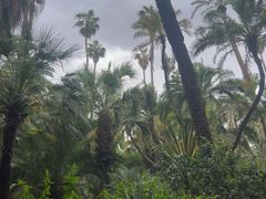 -马洛雷勒花园