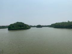 -塘沽森林公园