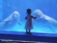 -多彩贵州城极地海洋世界