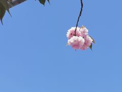 -卓橙广告(三湘商业广场店)