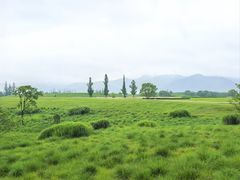 -良渚古城遗址公园