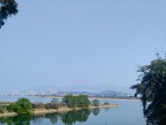 -福建鲤鱼洲酒店