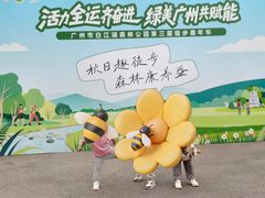 -广州白江湖森林公园