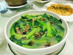 -优之名鹅城