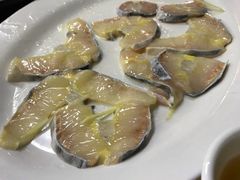 鲟龙鱼-渔文乐农庄